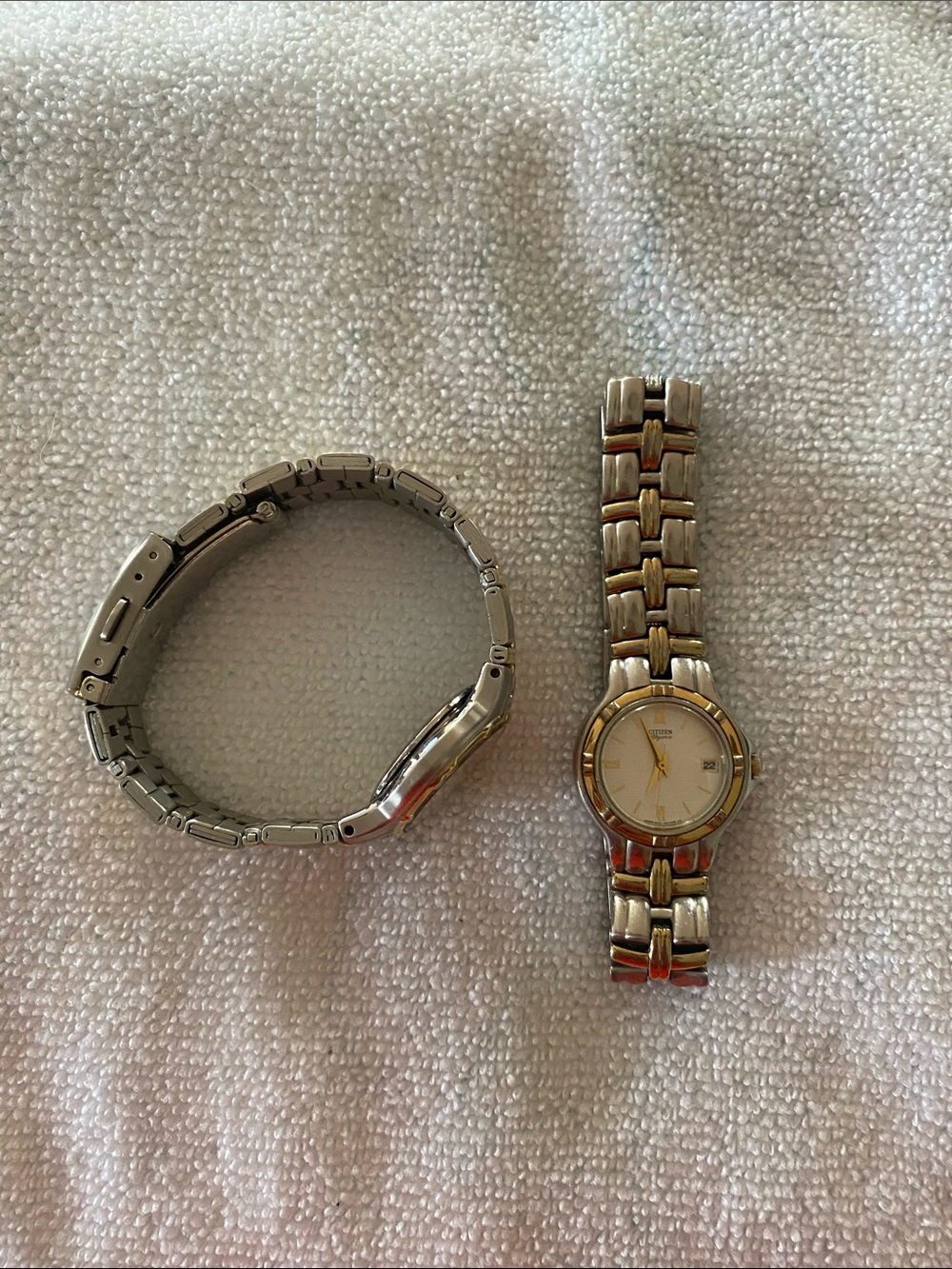 Citizen Watch Bundle